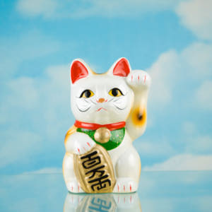 thinkstockimages-g-luckycat