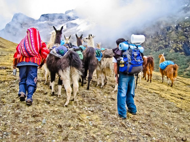 Copy-of-machupicchu-046