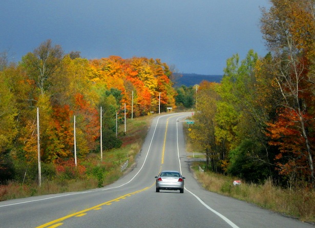 fall-colours-car