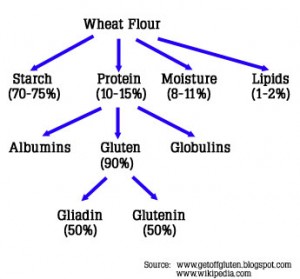 gluten-breakdown-300x279