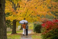 better date ideas nyc