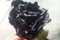 black-roses