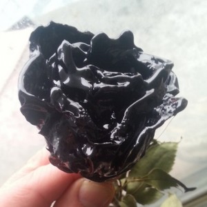 black-roses