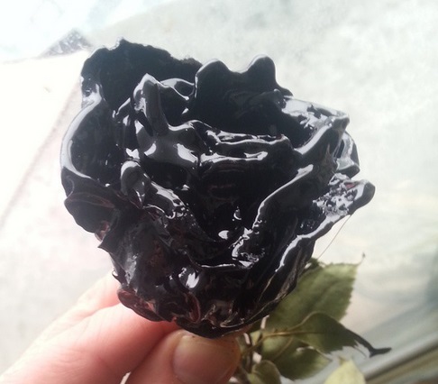 black-roses