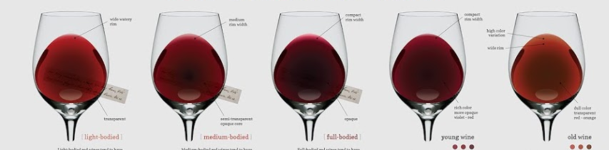 Color Of Wine Chart