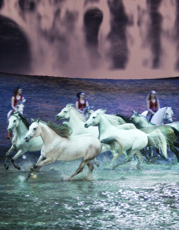 Cavalia's Odysseo Toronto