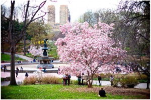 dating ideas nyc