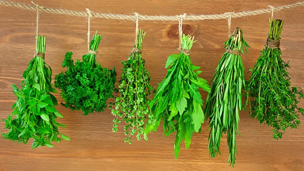 Herbs & Spices
