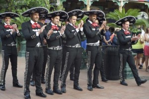 The Bachelorette