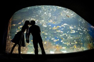Better Dating Ideas Chicago