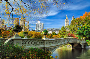 Better Dating Ideas NYC