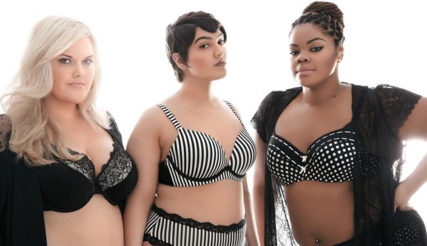 plus size lingerie