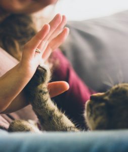 ask dr. paulette