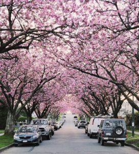 Better Dating Ideas Vancouver