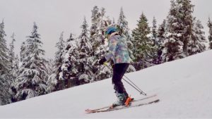 whistler