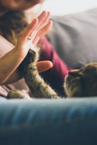 Animals Are Good For The Soul
