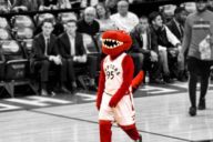 Toronto Raptors